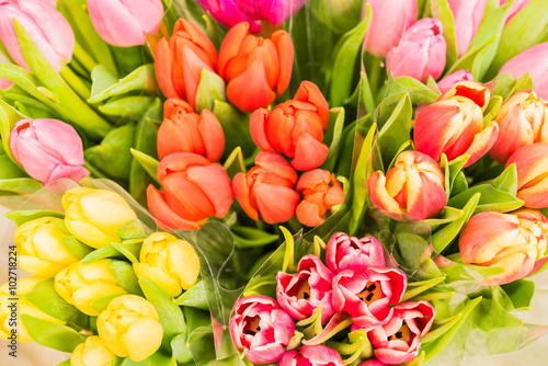 Fototapeta Naklejka Na Ścianę i Meble -  Bunte Tulpen Frühlingsblumen