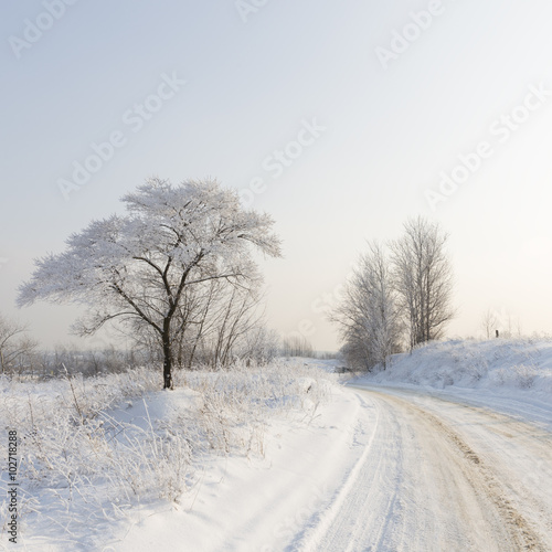 Winter landscape of the Moscow region