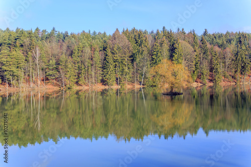 Einsamer Baum im See