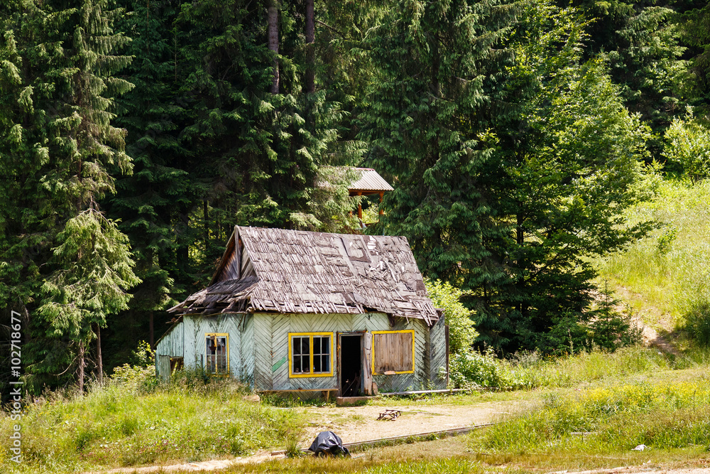 Old abandoned wooden house in the forest