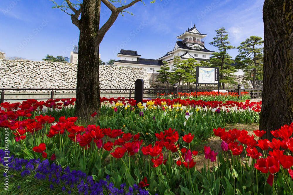 Obraz premium 富山城