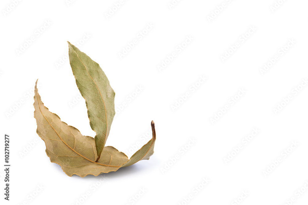 Sailing ship made from two laurel leaves on a white background Sailing ship made from two laurel leaves on a white background
