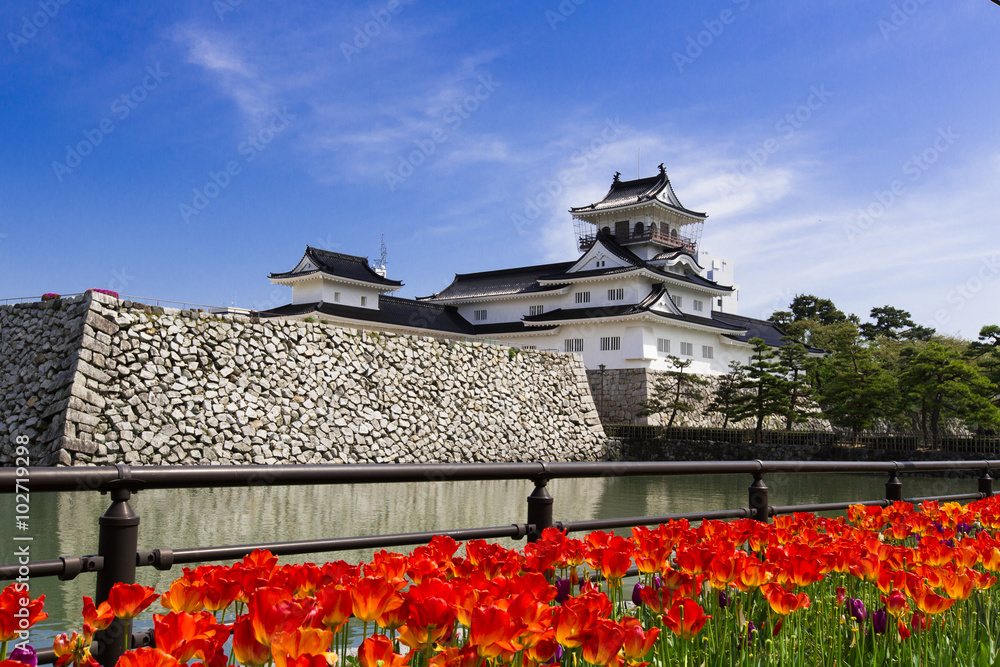 Fototapeta premium Zamek Toyama