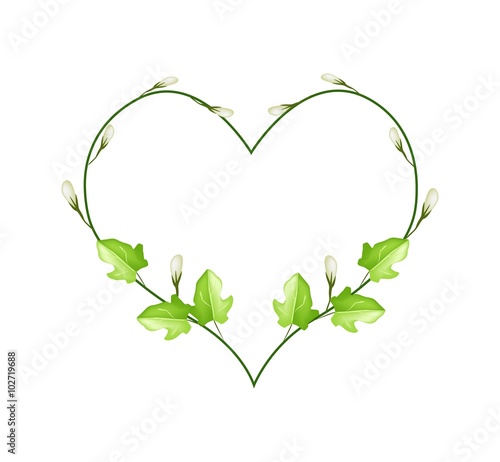 Flower and Leaves Vine in Beautiful Heart Shape