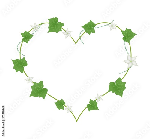 White Flowers and Leaves in Heart Shape