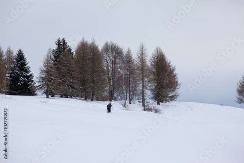 camminata con racchette da neve