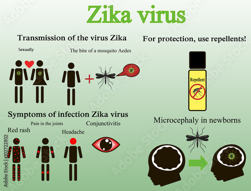 Zika virus