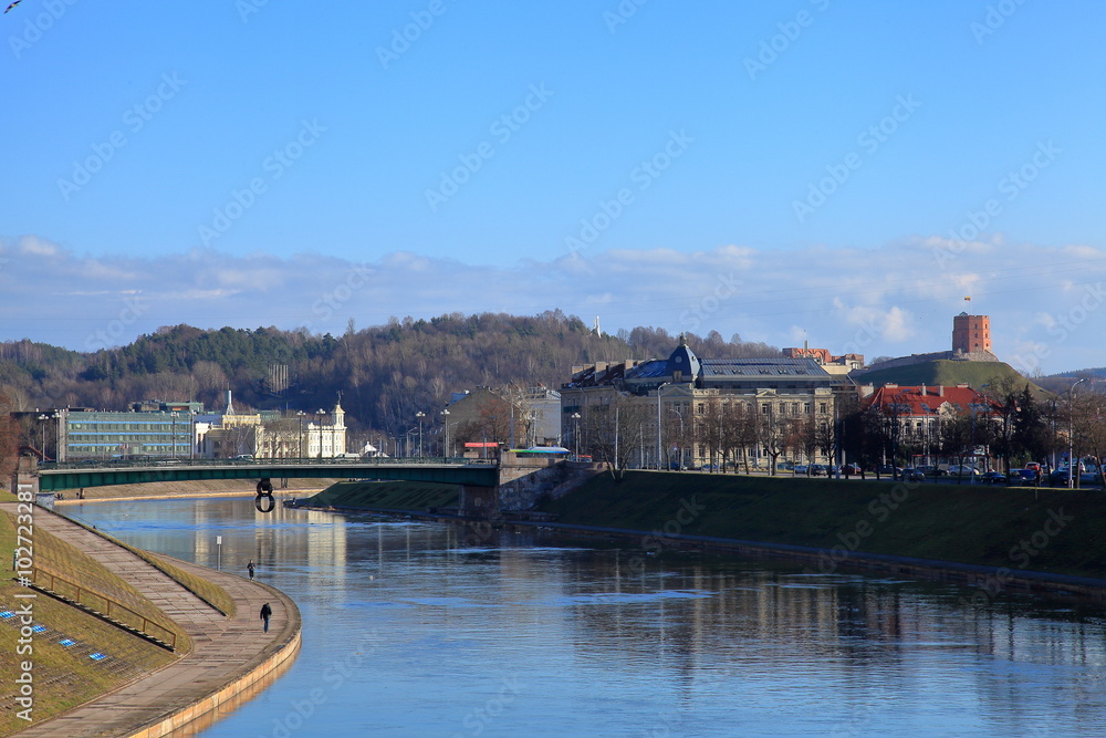 Naklejka premium Neris gyrus