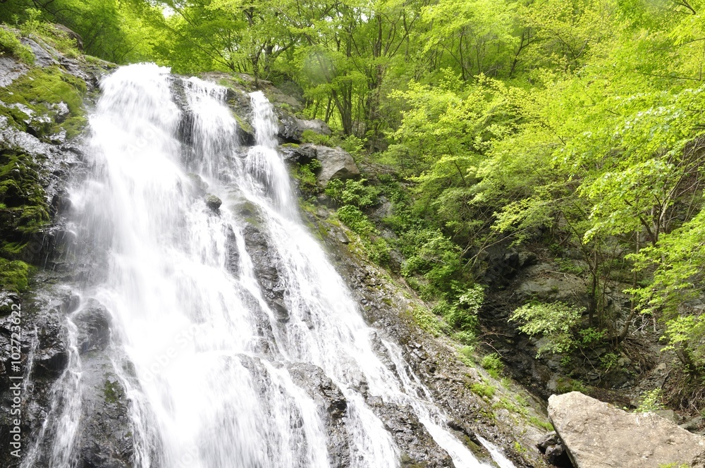丹沢山地 雷滝 丹沢山地 雷滝