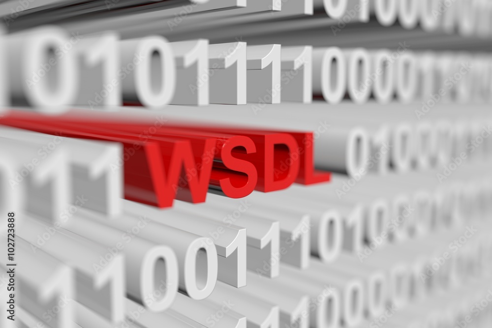 WSDL is represented as a binary code with blurred background