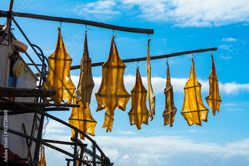 Obraz na płótnie Stock fish skin hanging in Camara de Lobos, Madeira (Portugal) w salonie