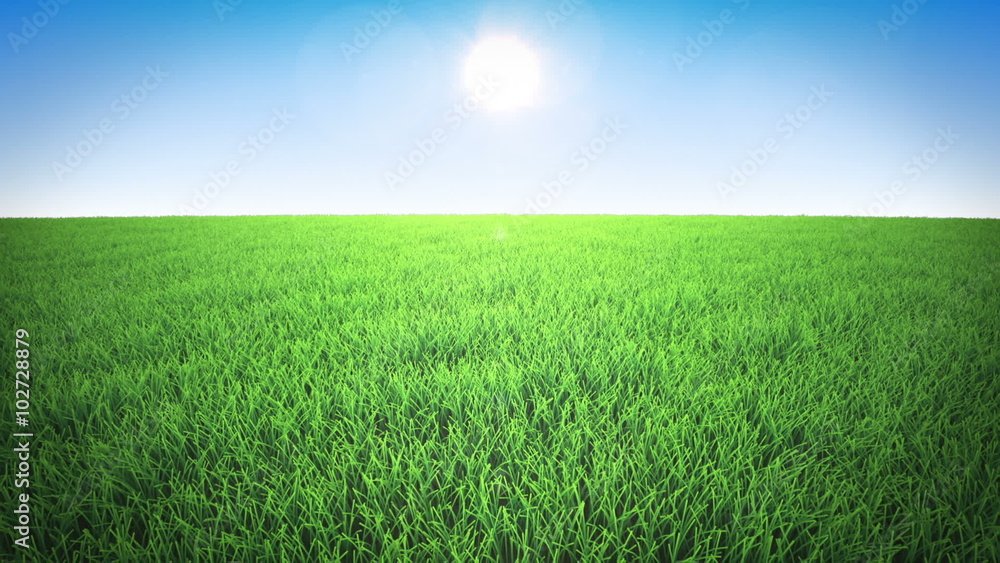 Flight over grass field, daylight, daytime Flight over grass field, daylight, daytime