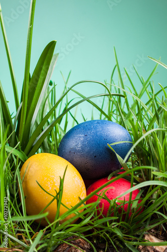 Easter colored eggs in the grass