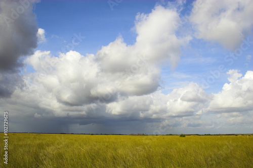 Cloudscape