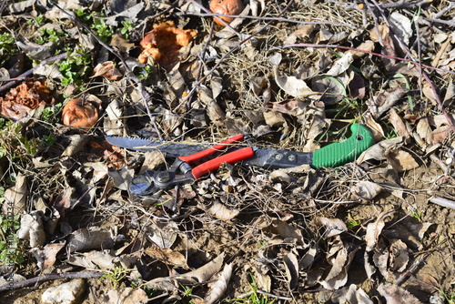 pruning tools