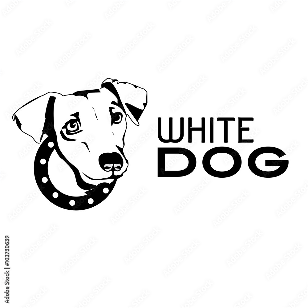 White Dog