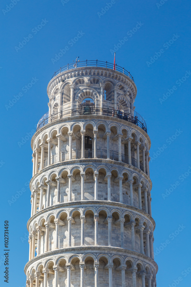 Pisa Tower View