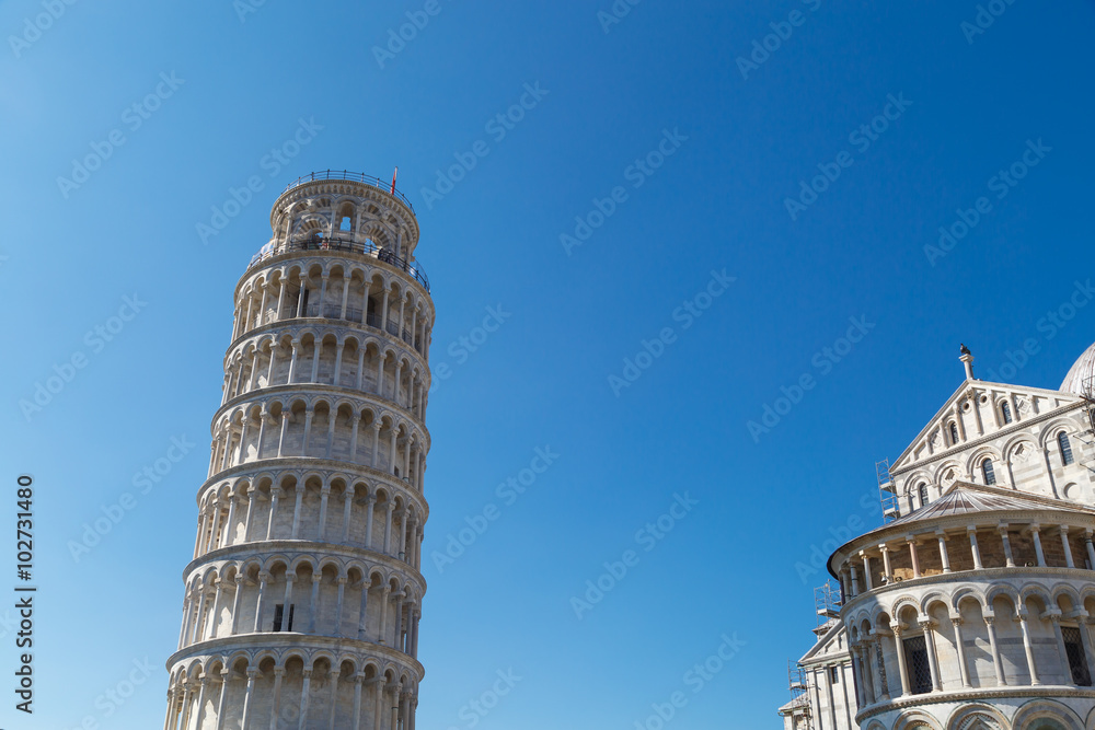 Pisa Tower View