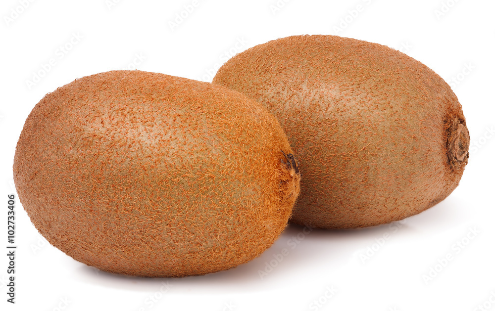 Two kiwi fruit on white isolated background Two kiwi fruit on white isolated background