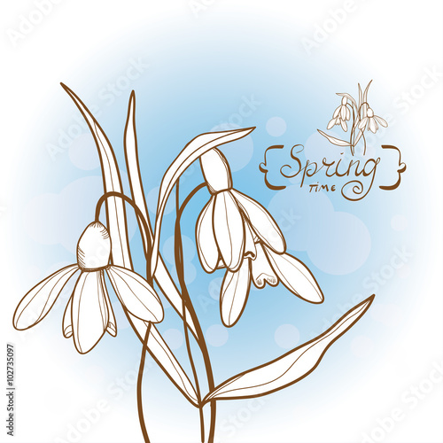 Vector spring floral illustration with bouquet of snowdrops. Retro Style.