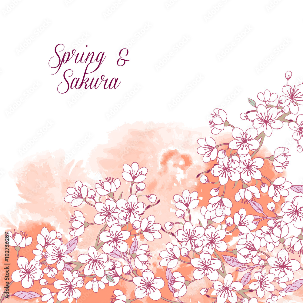 Background with sakura
