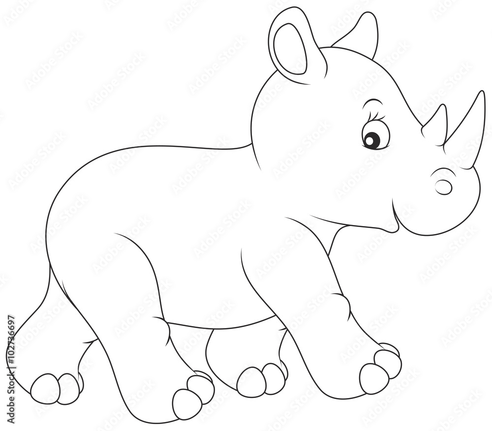 Obraz premium young rhinoceros walking