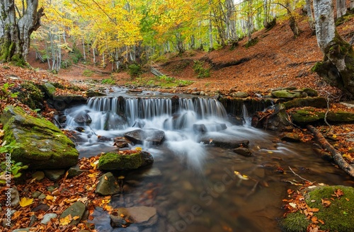 Autumn in the forest mountain stream