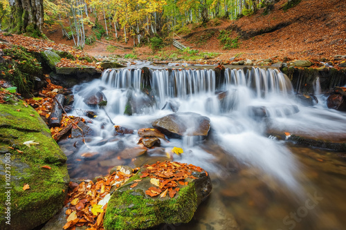 Carpathian Mountains. The mountain river in the autumn forest