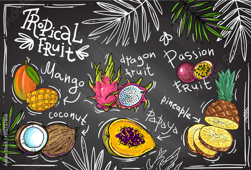 vector tropical fruit
