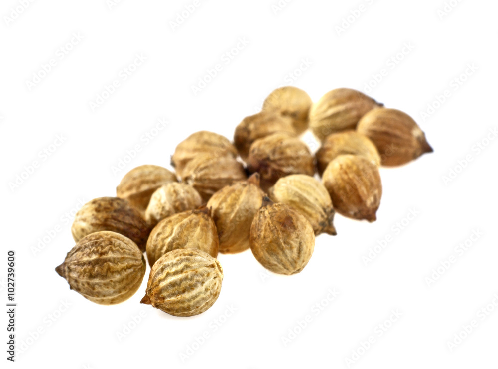 Close up of coriander seeds on white background Close up of coriander seeds on white background