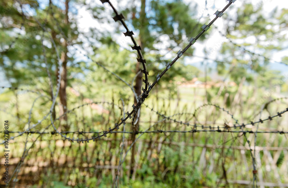 fence with barbed wire, borderlands between Myanmar and Thailand fence with barbed wire, borderlands between Myanmar and Thailand