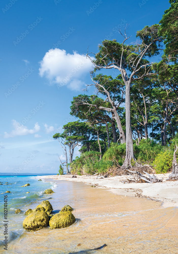 Obraz premium rocks exposed at Laxmanpur beach, Neil island, Andaman, India