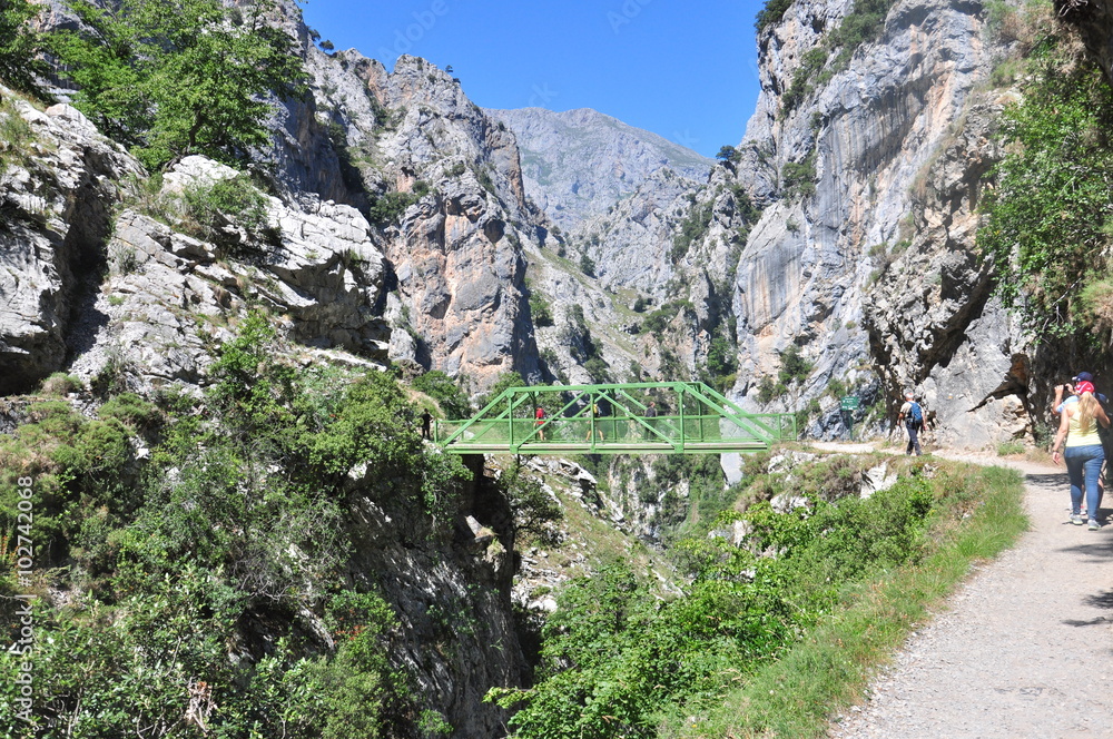 Fototapeta premium Ruta del Cares, Asturias, Picos de Europa