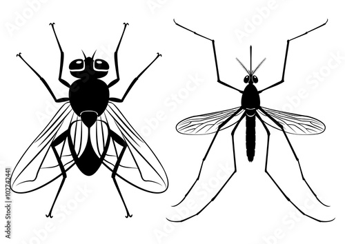 Vector silhouettes of a fly and mosquito