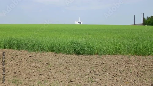 Cereal field tilt shot just outside Lund, Sweden (Scania). Filmed in 4k in the summer (June).
 photo