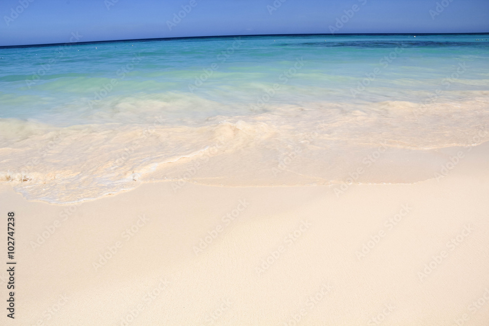 Fototapeta premium Wave of the sea on the sand beach