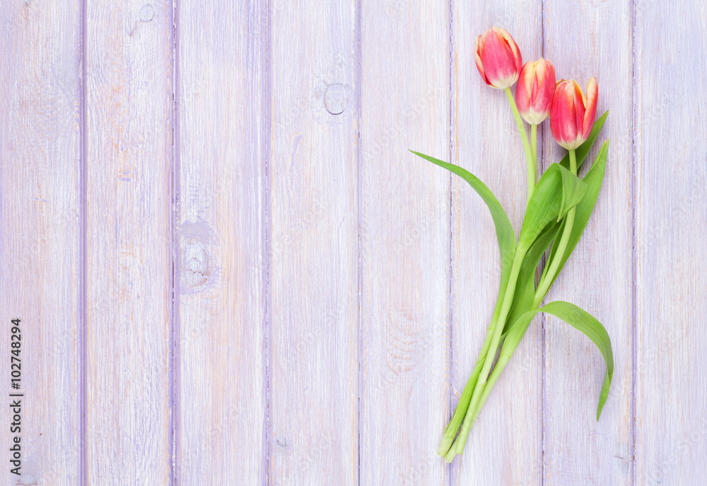 Red tulips over purple wooden table Red tulips over purple wooden table