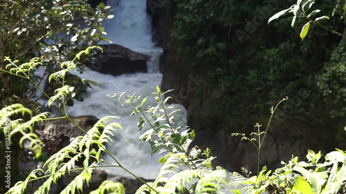 Tilt up shot of a natural waterfall in the Andes mountains in the province of Zamora-Chinchipe and just outside the Podocarpus National Park of Ecuador.