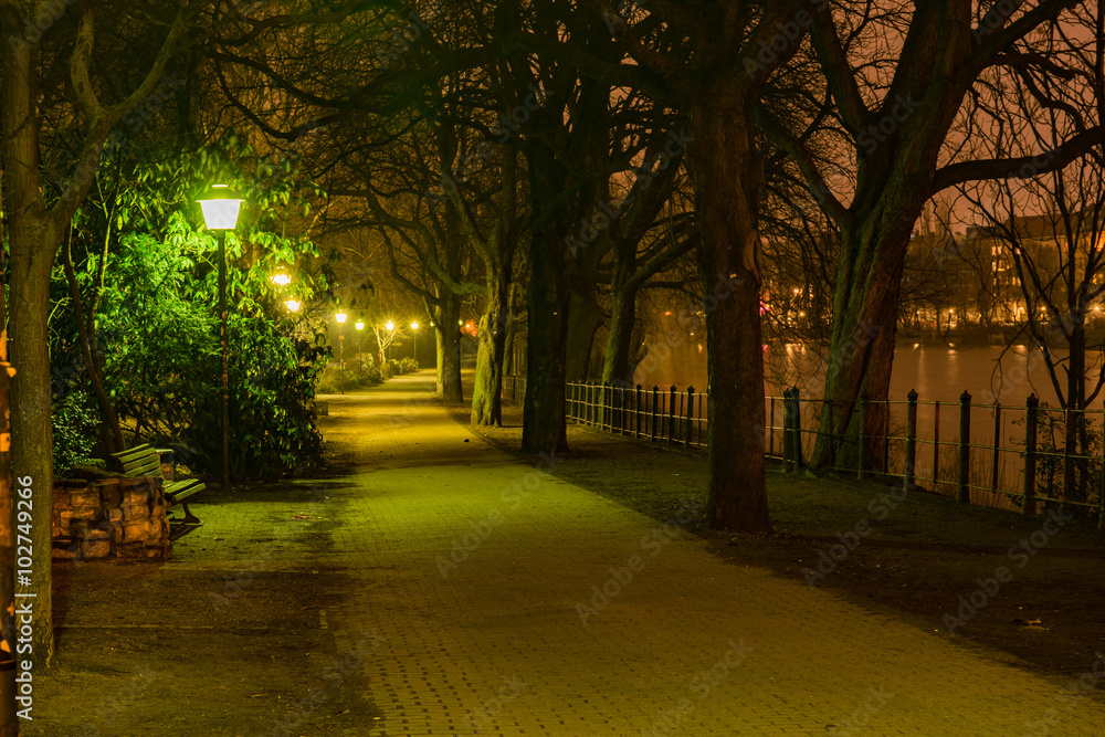 Obraz premium park w pobliżu rzeki Szprewy w Berlinie nocą, oświetlony latarniami ulicznymi