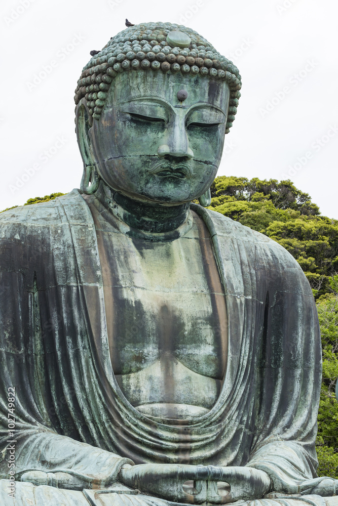 The Great Buddha (Daibutsu) on the grounds of Kotokuin Temple in The Great Buddha (Daibutsu) on the grounds of Kotokuin Temple in