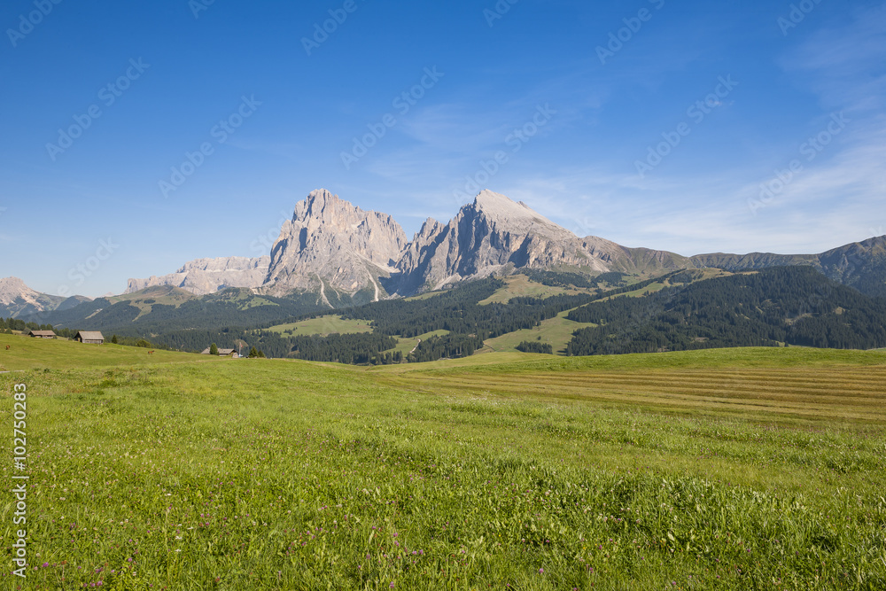 Landscape view of fields and mountains