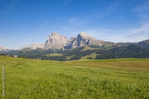 Landscape view of fields and mountains