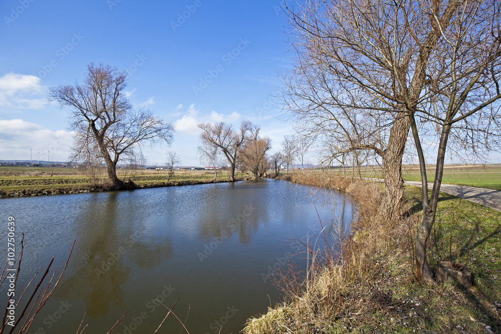 Obraz premium Weiden am Wasser
