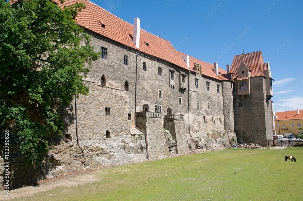 Fototapeta premium Castle Strakonice in the Southern Bohemia,Czech Republic