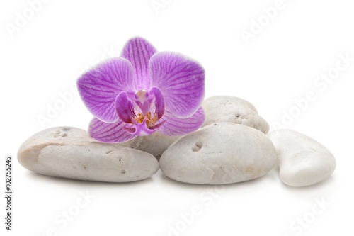 zen basalt stones and orchid