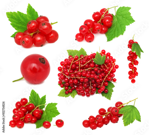 Wallpaper Mural Set ripe redcurrant berries with green leaves (isolated)