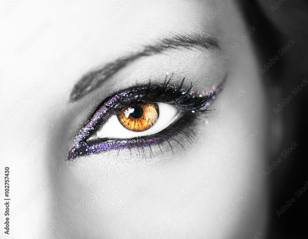 Eye Makeup. Beautiful Eyes Retro Style Make-up. Holiday Makeup Eye Makeup. Beautiful Eyes Retro Style Make-up. Holiday Makeup