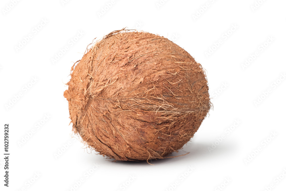 coconut isolated on the white background coconut isolated on the white background