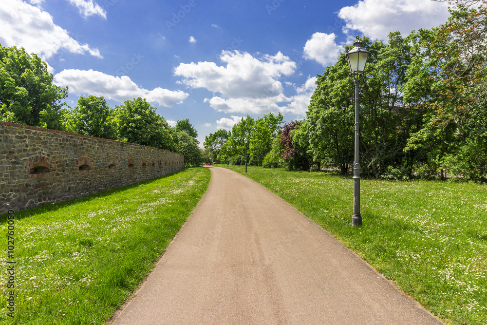 Elberadweg in Magdeburg