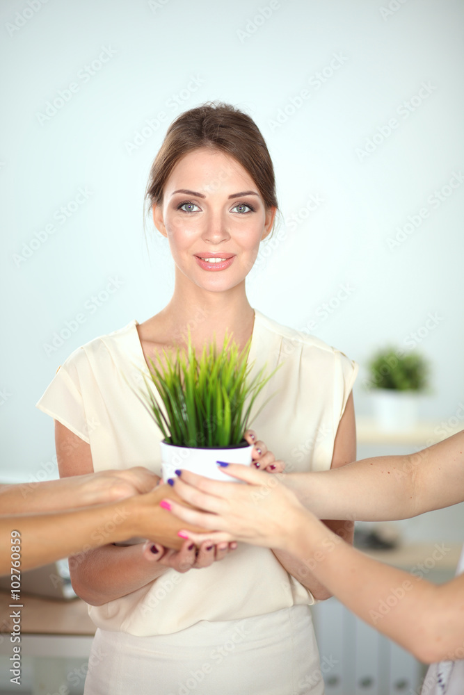 Beautiful woman holding pot with a plant, standing Beautiful woman holding pot with a plant, standing